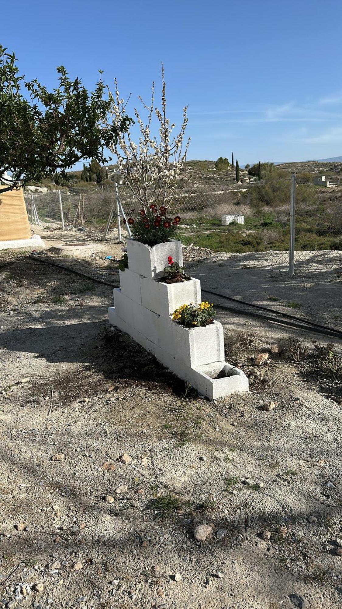 Alojamientos Cuevas Tiana El Aljibete Exteriör bild
